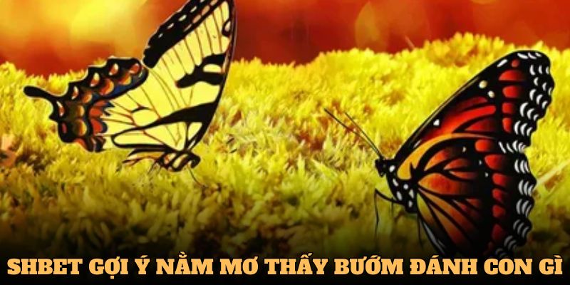 Giải mã con số khi nằm mơ thấy bướm